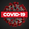 В Канаде выявили более 450 случаев заражения разными штаммами коронавируса SARS-CoV-2 - Фото