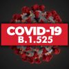 В Великобритании обнаружили еще один штамм коронавируса SARS-CoV-2 - Фото