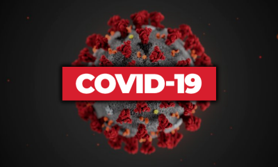 Учеными со всего мира опубликовано более 87 тыс. статей о коронавирусе COVID-19 - Фото