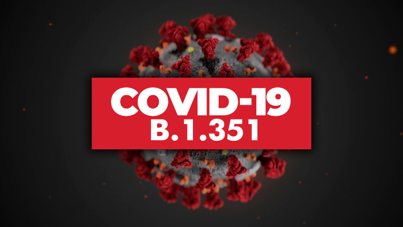 РФ не обсуждает полное закрытие границ из-за южноафриканского штамма коронавируса COVID-19 - Фото