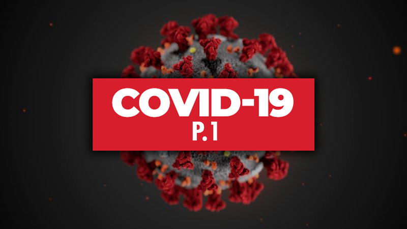 Ученые: бразильский штамм коронавируса COVID-19 в два раза более заразен - Фото