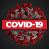 Число зараженных коронавирусом COVID-19 в мире превысило 150 млн - Фото