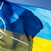 Зеленский назвал вступление Украины в НАТО путём к миру в Донбассе - Фото