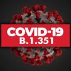 В Эстонии заявили о распространении южноафриканского штамма коронавируса COVID-19 - Фото