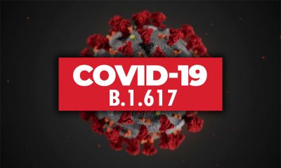 ВОЗ сообщила об устойчивости индийского штамма коронавируса COVID-19 к антителам - Фото