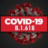 В Италии впервые выявили индийский штамм коронавируса COVID-19 - Фото