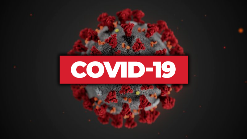 В Беларуси обнаружили собственный штамм коронавируса COVID-19 - Фото