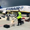 Канада поддержала расследование ICAO по посадке самолета Ryanair в Минске - Фото