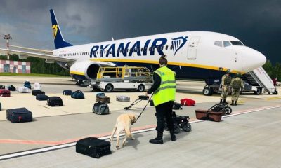 Канада поддержала расследование ICAO по посадке самолета Ryanair в Минске - Фото