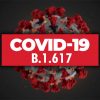 В Марокко и Алжире выявили первые случаи индийского штамма коронавируса COVID-19 - Фото