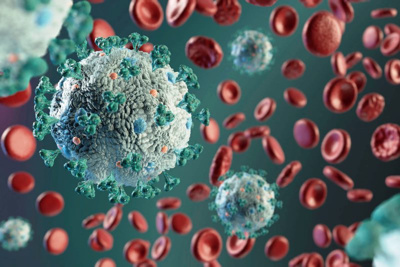 COVID-19 меняет клетки крови