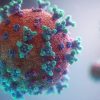 Ученые из Китая заявили о природном происхождении коронавируса SARS-CoV-2 - Фото