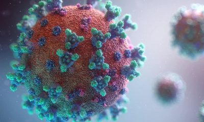Ученые из Китая заявили о природном происхождении коронавируса SARS-CoV-2 - Фото