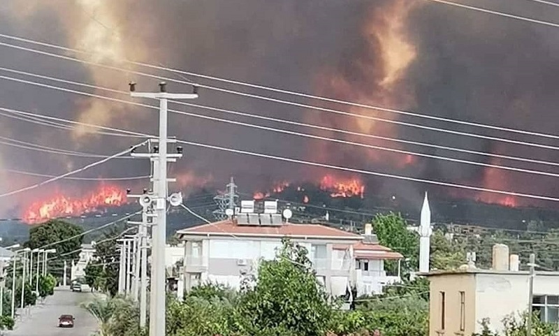 В Турции лесные пожары не утихают 4-й день - Фото