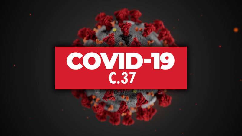 ВОЗ зафиксировала распространение штамма коронавируса COVID-19 "лямбда" более чем в 30 странах - Фото
