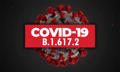 В Эквадоре выявили 10 случаев заражения дельта-вариантом коронавируса SARS-CoV-2 - Фото