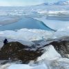 Ученые обнаружили самый северный остров в мире - Фото