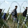 Глава МВД Словении: ЕС может применить дальнейшие санкции против Беларуси из-за ситуации с мигрантами - Фото