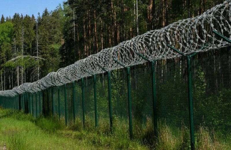 В Латвии на границе с Беларусью за сутки задержали 77 нелегалов - Фото