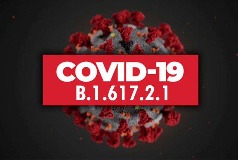 В Южной Корее зарегистрировали первые два случая заражения COVID-19 "дельта плюс" - Фото